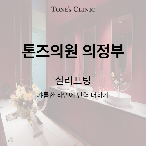 실리프팅