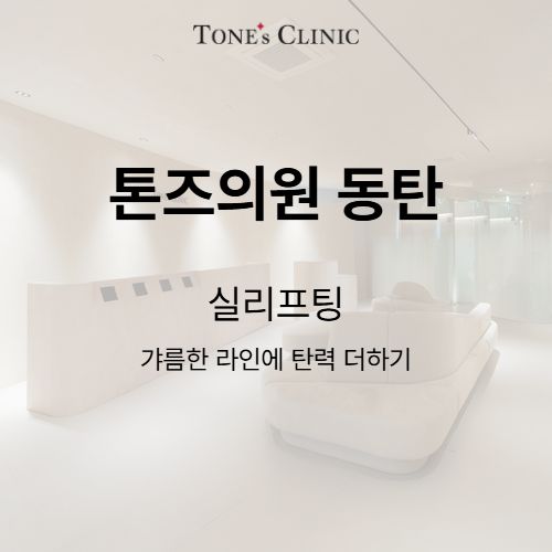 실리프팅