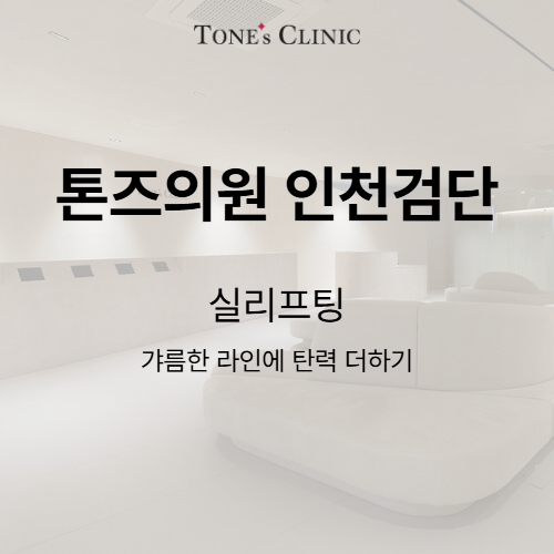 실리프팅