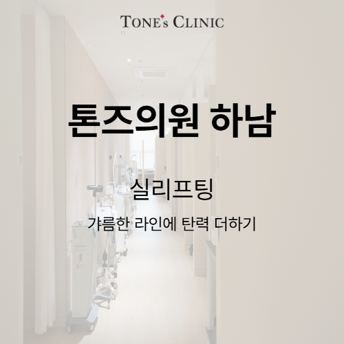 실리프팅