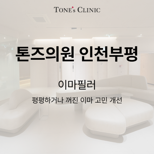 이마필러