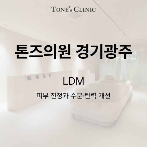 LDM