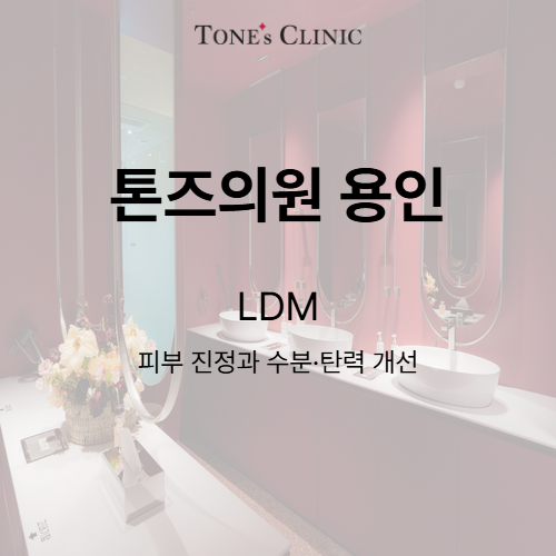 LDM