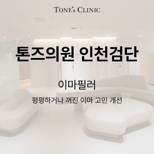 이마필러